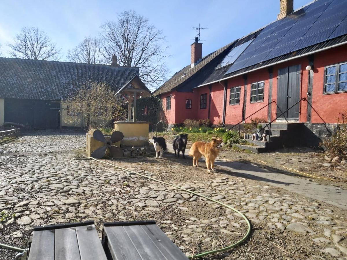 Bolshavnvej5 Bed & Breakfast Esterno foto